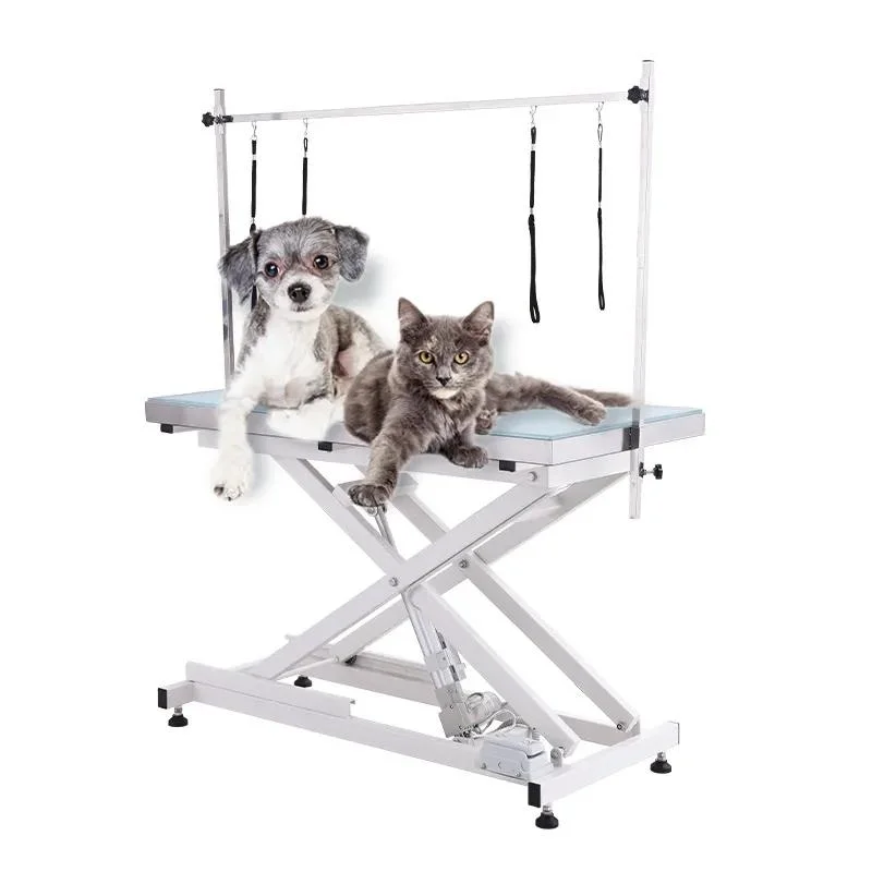 CE ISO Approved Pet Beauty Salon Products Electric Stainless Steel Pet Grooming Table for Dogs