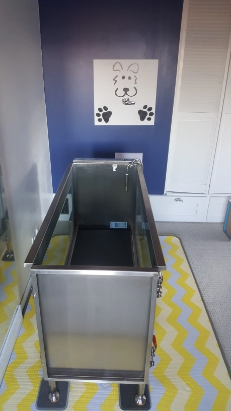 Factory Price Dog Treadmill Pet Hydrotherapy Treadmill Dog Underwater Treadmill