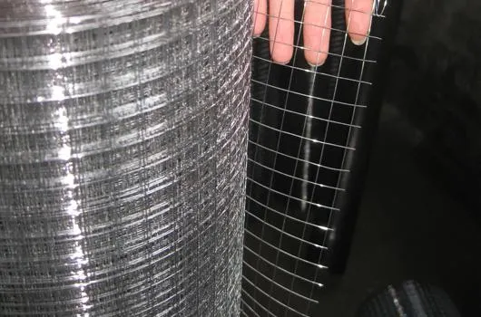 Hot Dipped Galvanized Welded Wire Mesh