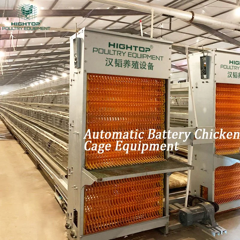 Best Sale A Type Egg Poultry Farm Equipment Poultry Laying  Hens Egg Layer Battery Chicken Cages For Kenya Farm