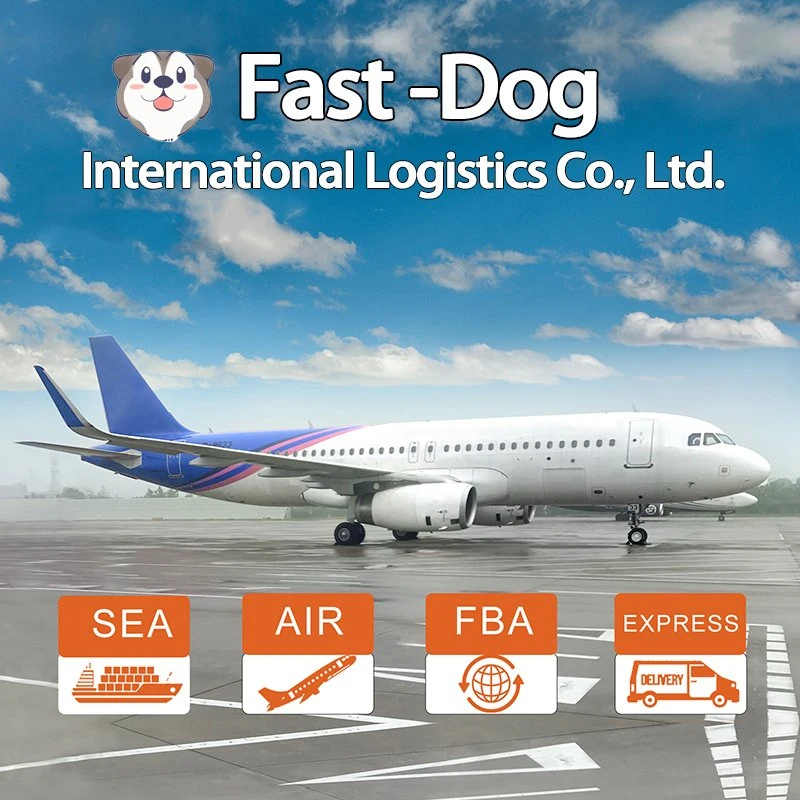 Professional /Cheapest Air Freight Fba/dhl/UPS/FedEx y TNT Freight Forwarder de China