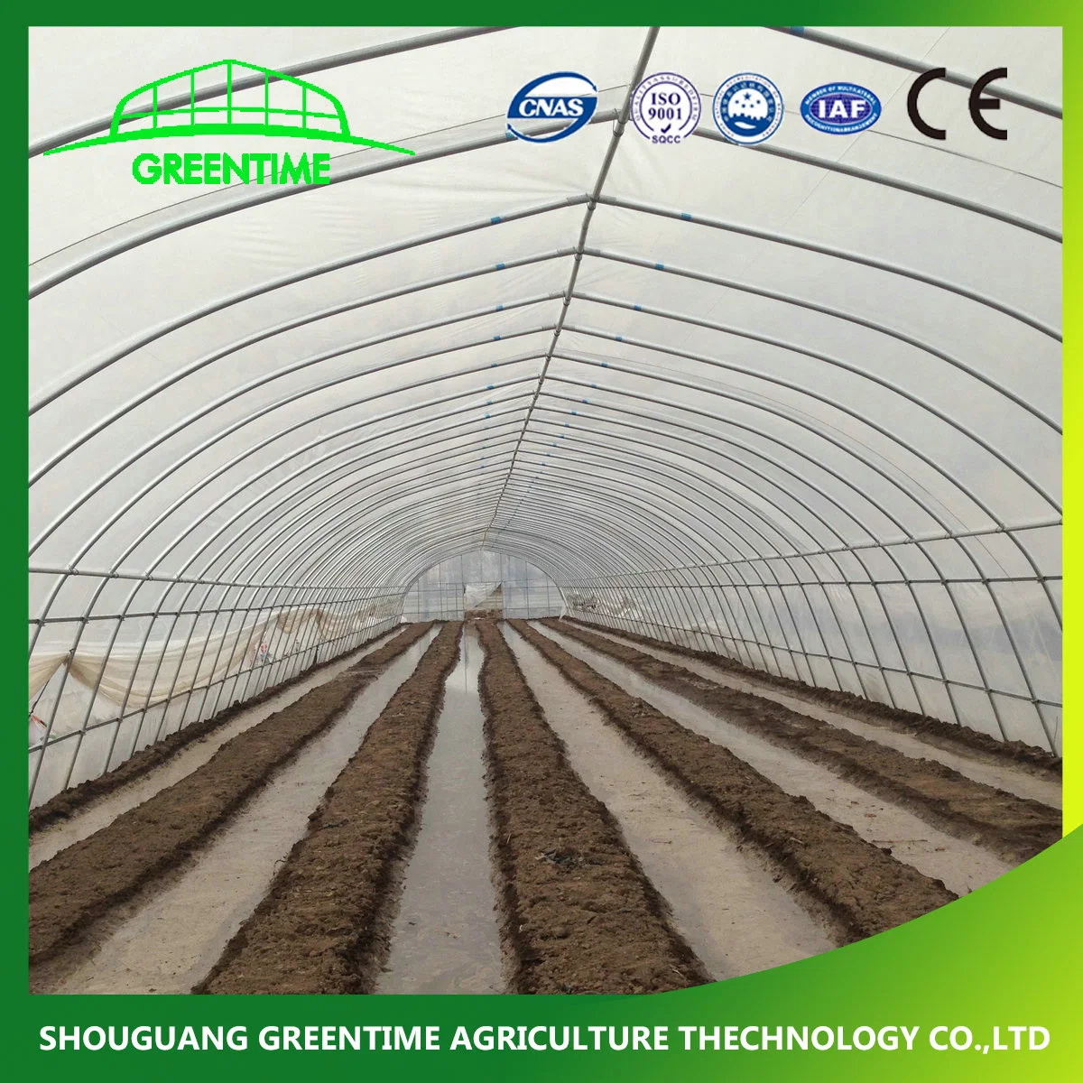 Factory Price High Quality Plastic Film Greenhouse for Flower Hydroponic Growing