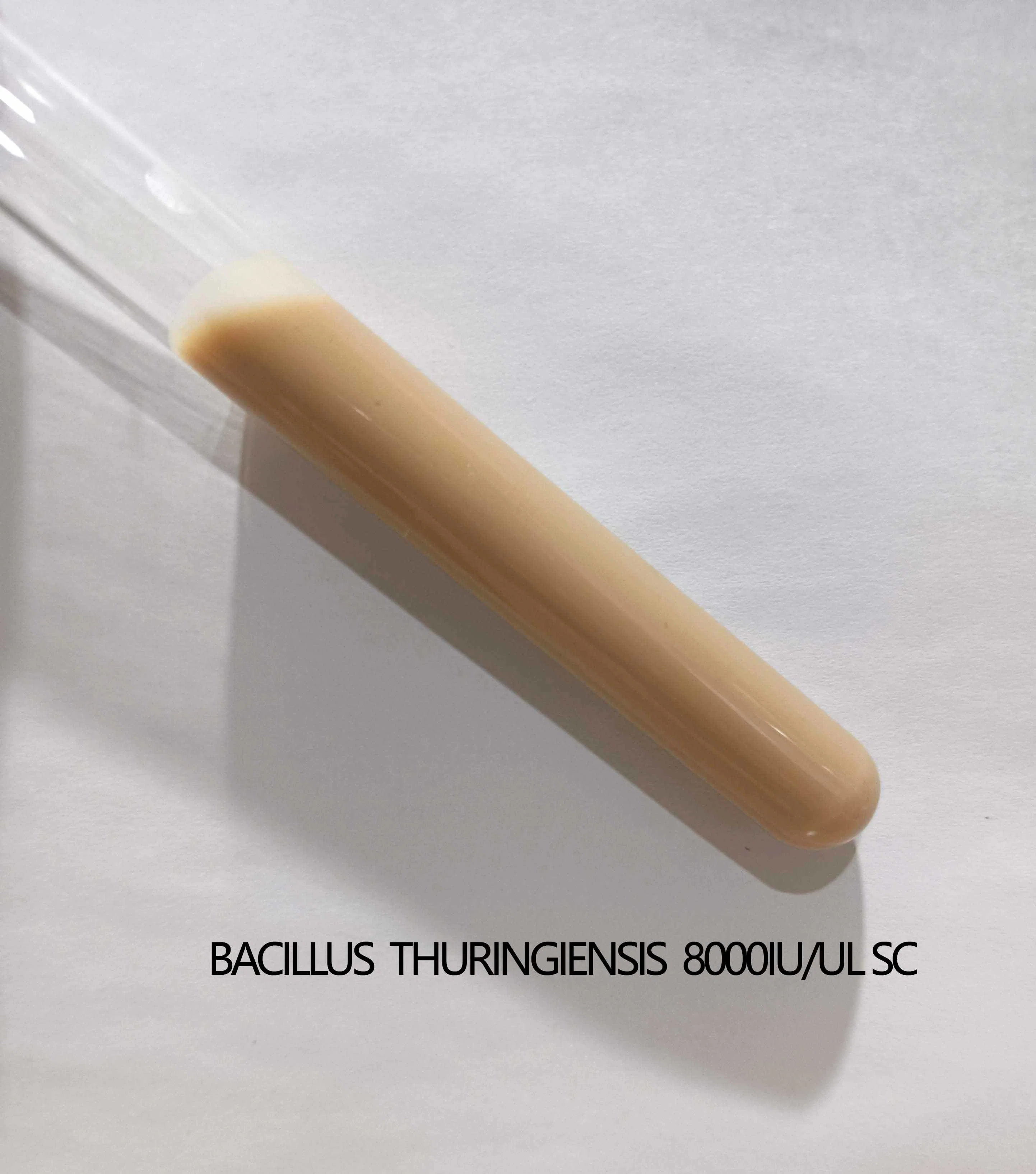 Bacillus Thuringiensis Insecticide Bacillus Thuringiensis Bacillus Thuringiensis