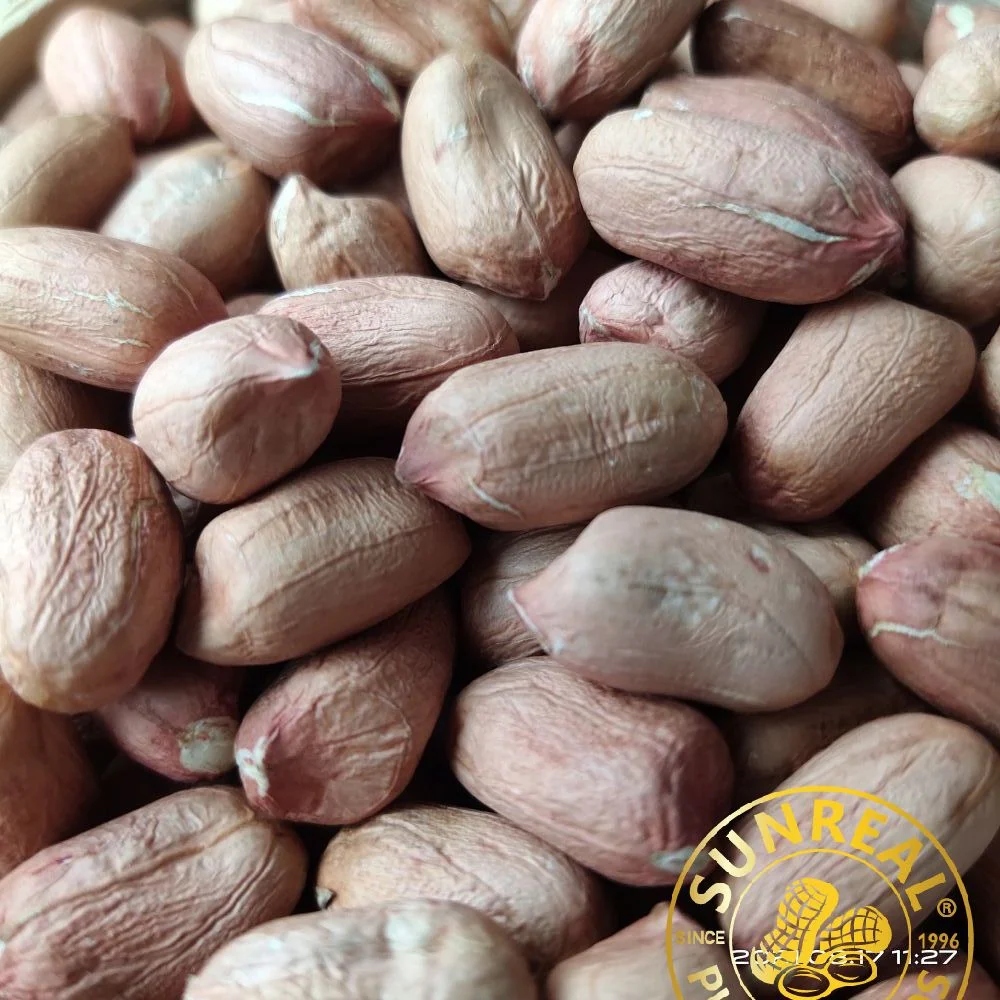 Raw Peanut Kernels /Long Type 24/28 From China Plump Seed