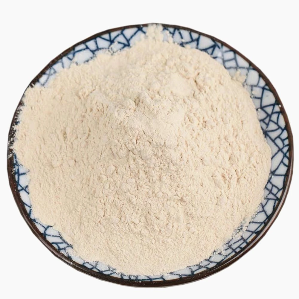 Dehydrated White Onion Powder Manufacturer