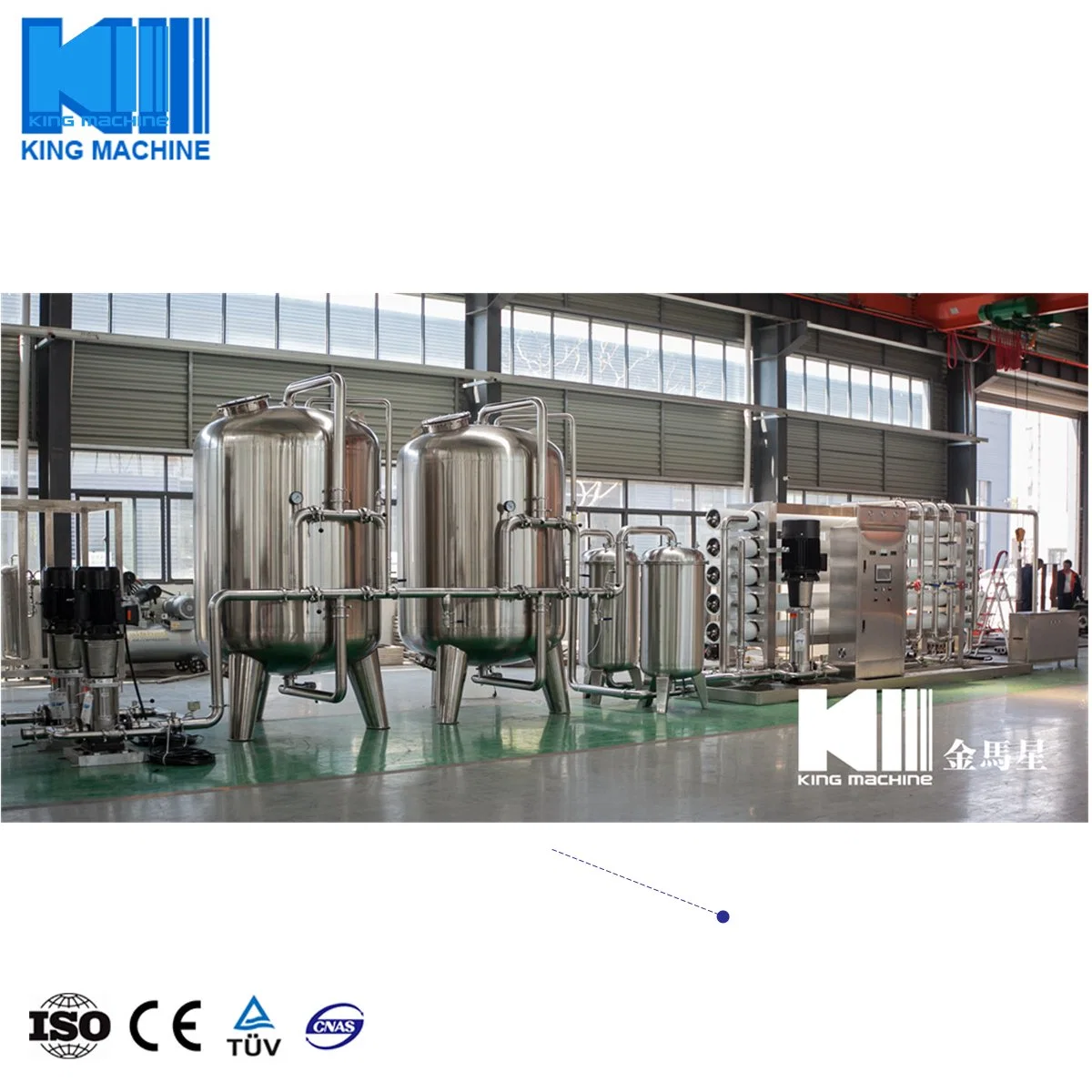 30t Drinking Water Treatment System with RO System