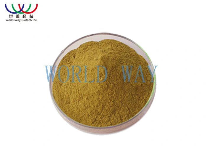 Fsc الشركة المصنعة لـ Tongkat Ali Extract Eurycomanone