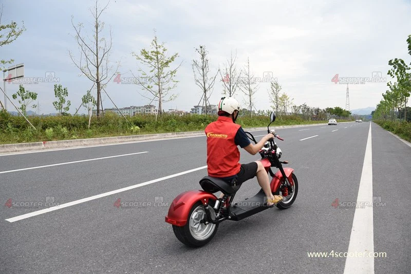 Wholesale/Supplier EEC Adult Electric Scooter Bike on Best Price