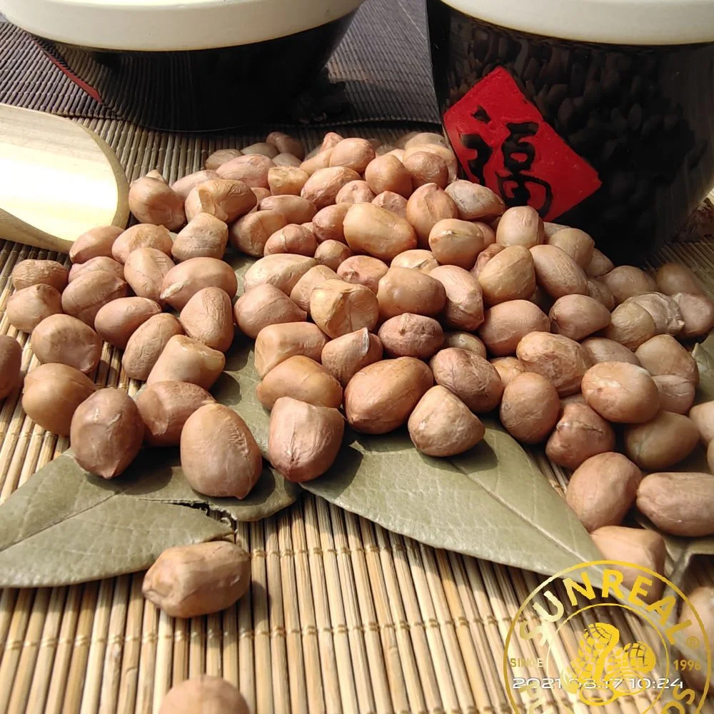 Roasted Peanut Kernels with Skin/Hsuji/Good After-Sale Service/Premium