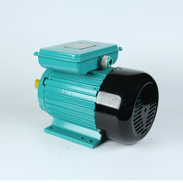 Yl Series 220V Low Noise 2800rpm Single-Phase Dual-Capacitor Induction Electric Motor for Air Compressors