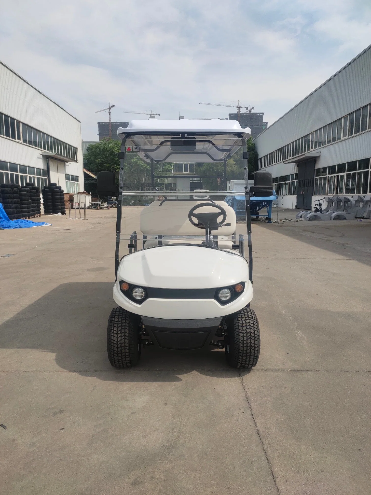 6 Seats Electric Golf Car with High Performance and Low Cost