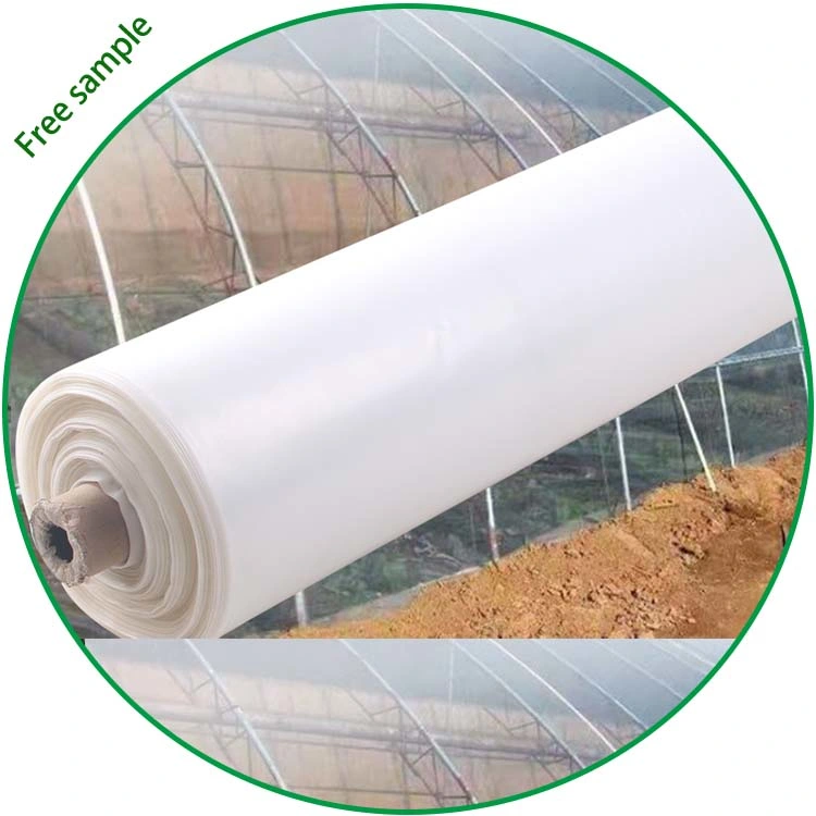 6 Mil X 24FT X 100FT Best Agriculture Greenhouse UV Protection Plastic Farming Plastic Film Greenhouse Film