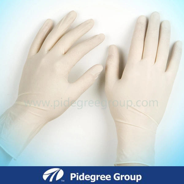 Latex Gloves for Dental Disposable Latex Glove Multi Usage