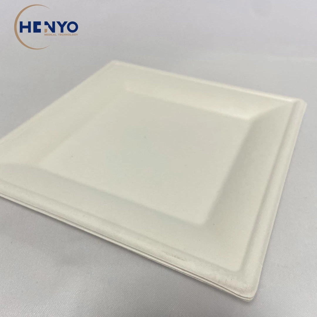 8-Inch Disposable Food Tray Eco-Friendly Biodegradable Square Food Tray