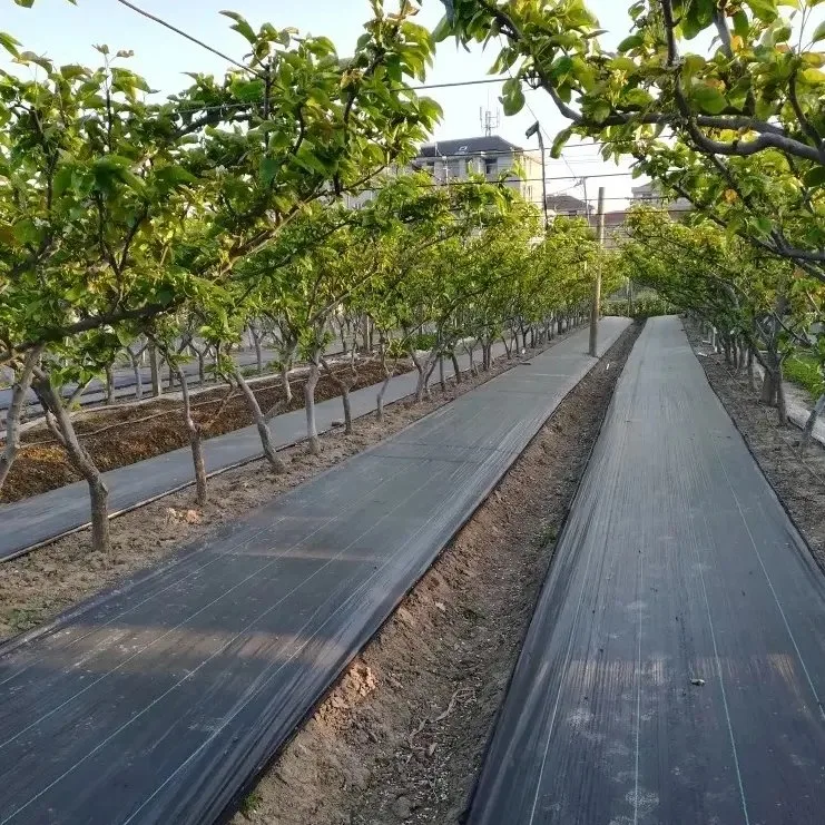 PE 50 metros de la agricultura de malezas del jardín de rollo Mat