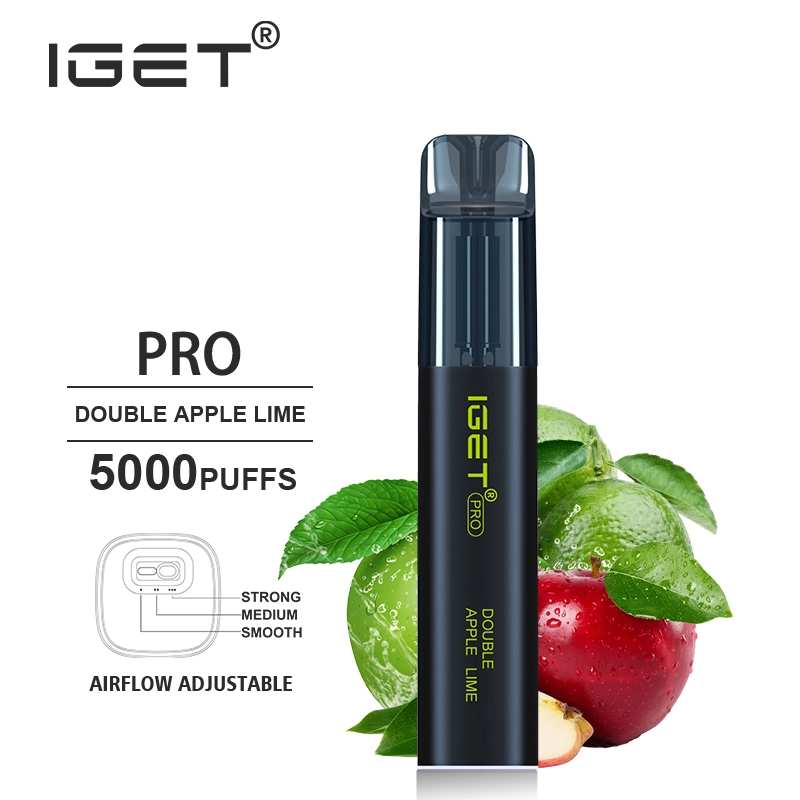 2022 Wholesale/Supplier Disposable/Chargeable Vape Pen Iget PRO 5000puffs