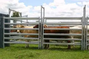 Low Price Wholesale/Supplier Corral Panel Cattle Yard Fence Galvanized Livestock Panels for Sale