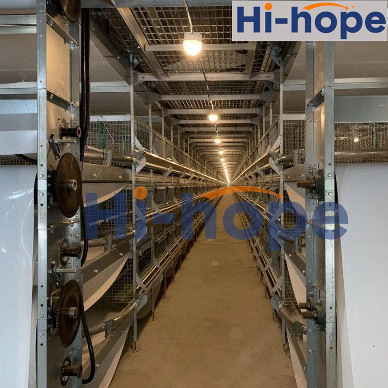 Modernization Farming Equipment Agricultural Layer Cages Chicken Layer Cage Design