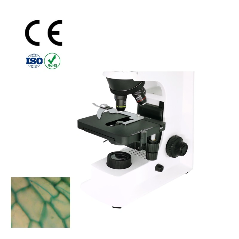 Microscopio Biológico Binocular de laboratorio con objetivo del Plan Infinito LWD 40X