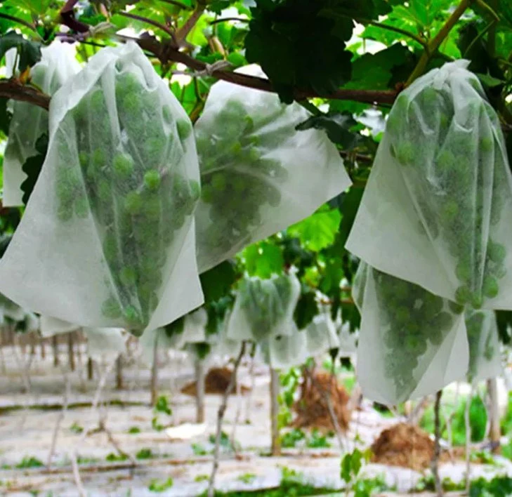 Suministros agrícolas de cine UV de gases de efecto invernadero vivero protegidas que cubren los materiales no tejidos