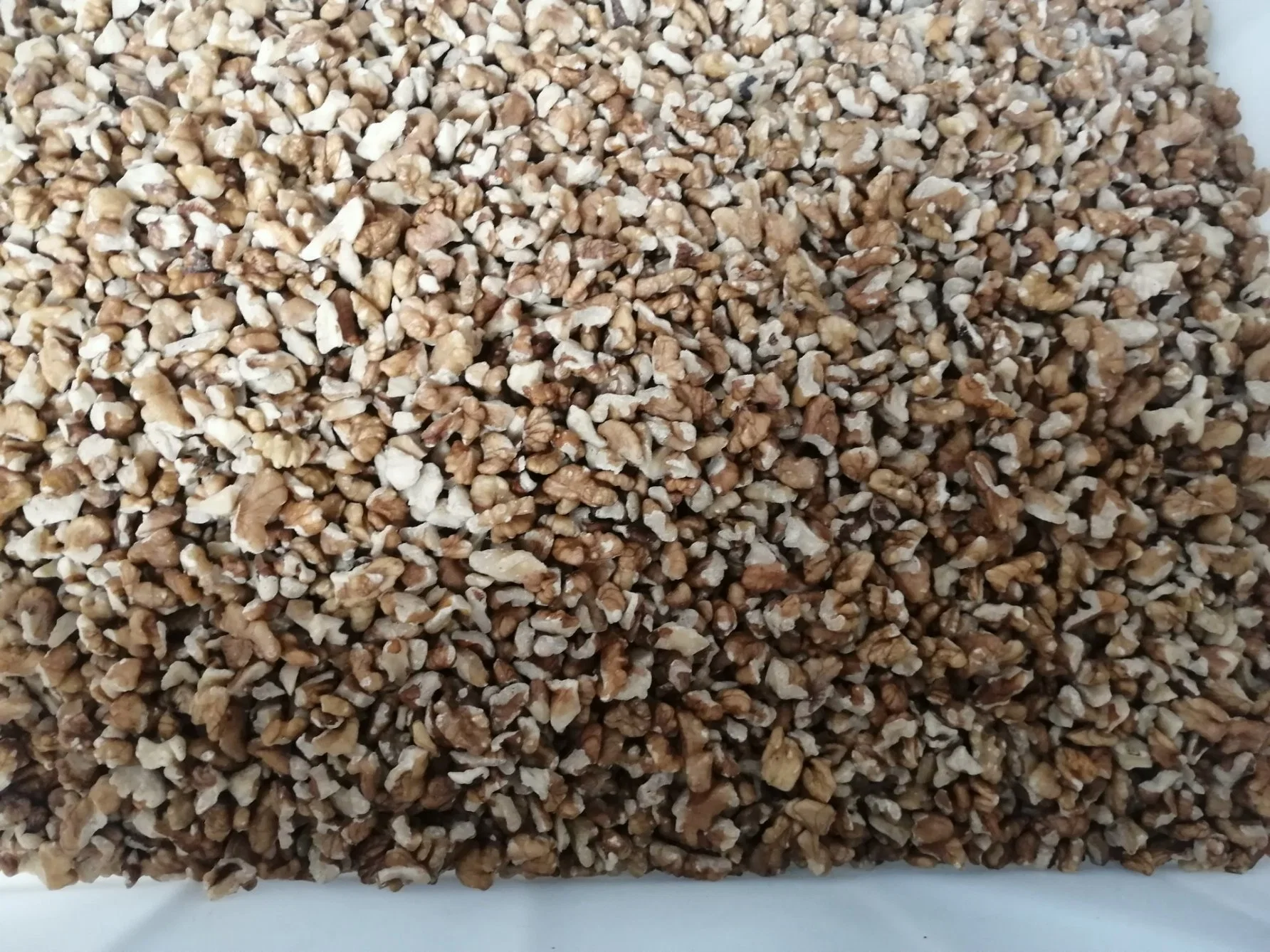 Xinjiang High quality/High cost performance Low Price 185 Thin Skin No Shell Walnut Kernel