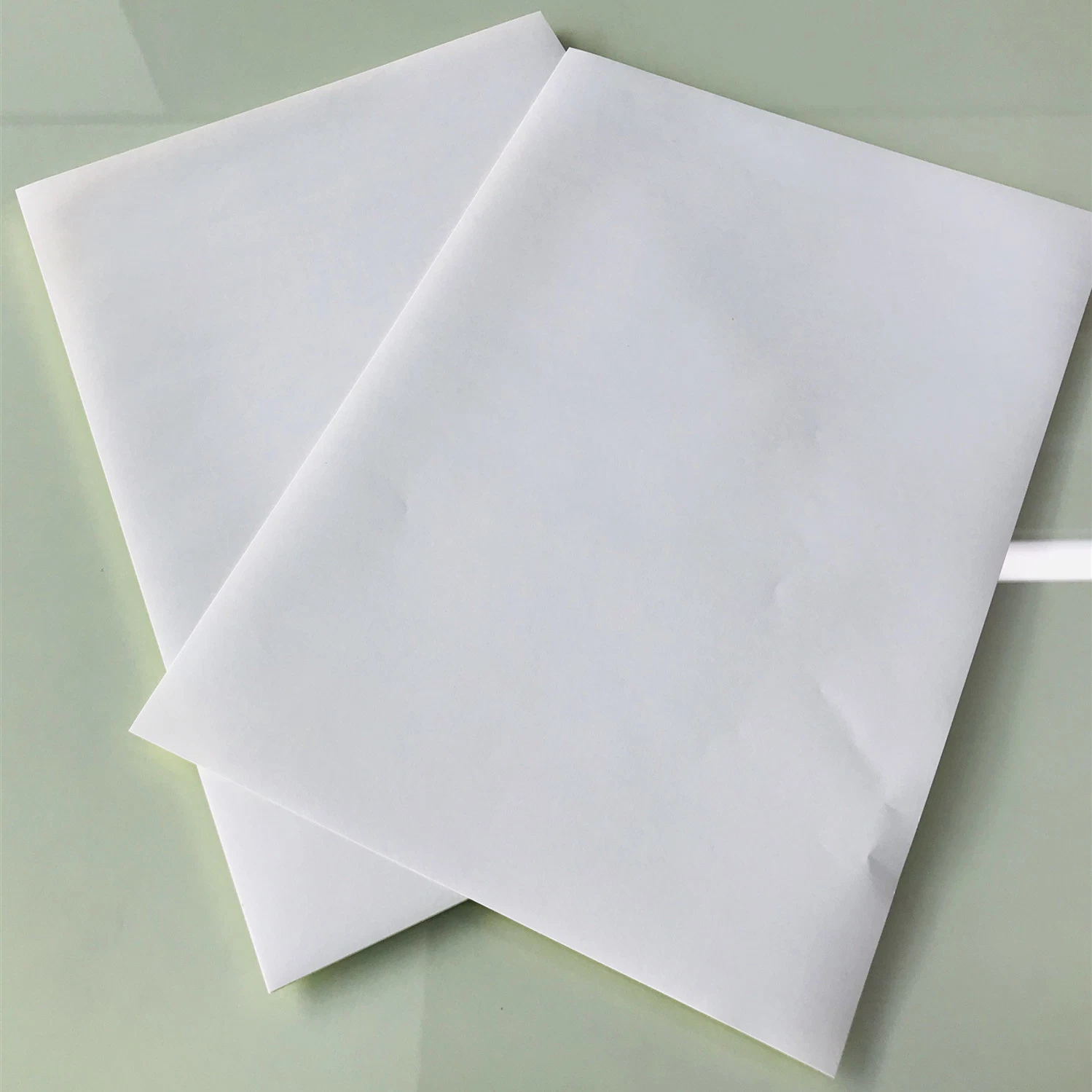 Vellum Paper with Rubber Adhesive for General Label Material