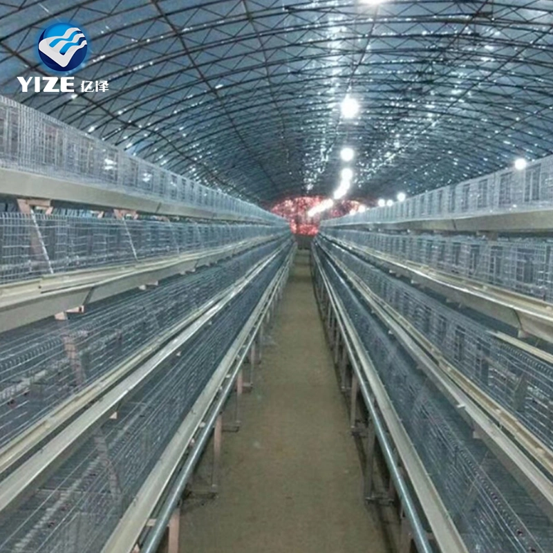 Couche de poule cage de poulet couche d'œuf porte en treillis métallique Poulet Coop