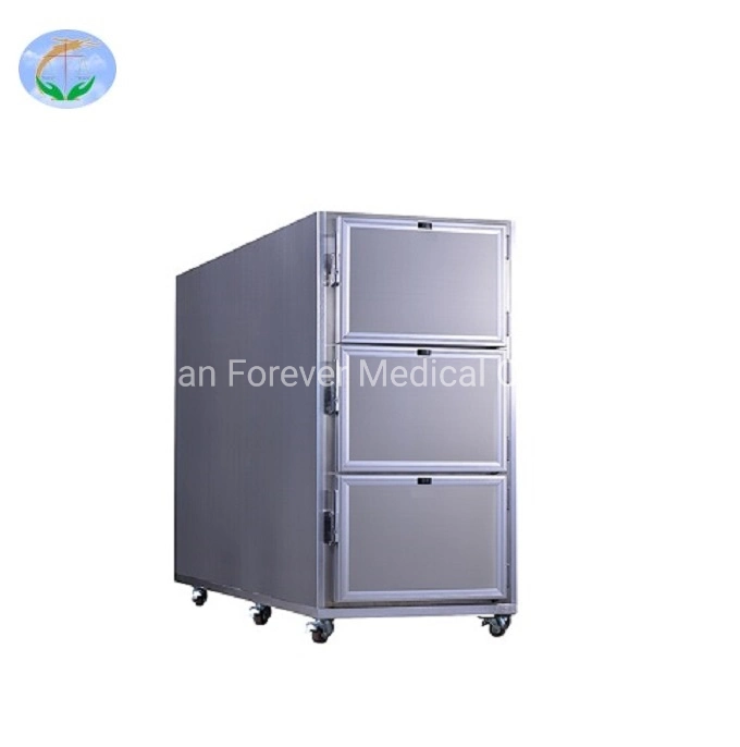 Hospital Transport Mortuary Coolers 6 Bodies Cooler Refrigerator