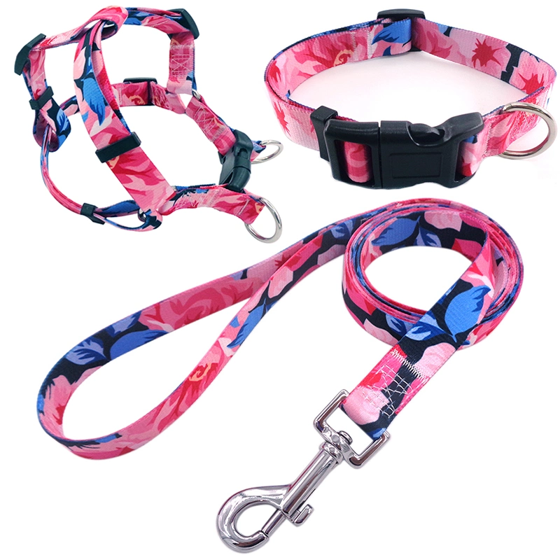 OEM/ODM Hot Selling Pet Products Dog Collar Leashes Harness for Running Dogs