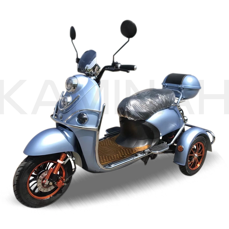 La carga de 3 ruedas vehículo motocicleta eléctrica de tres ruedas Scooter eléctrico para pasajeros GW