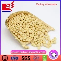 2021 Crop Blanched Peanut Kernels White Skin Peanut Kernels