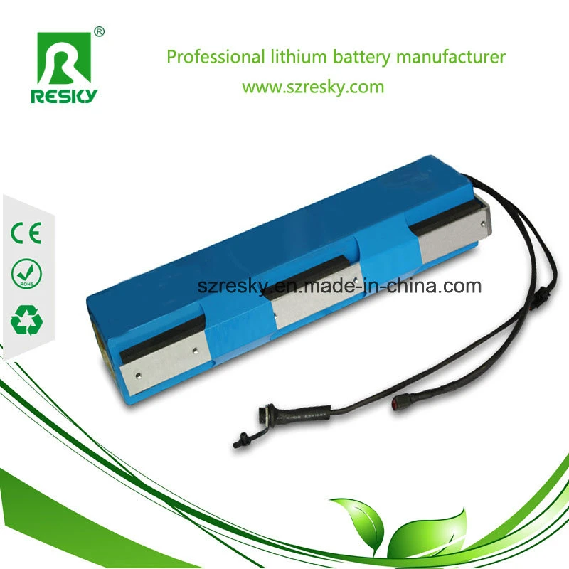 48V 9ah Lithium Ion Battery Pack for Electric Wheelchair