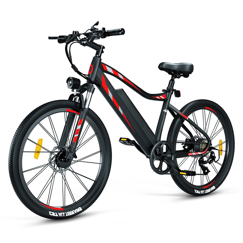 36V 48V 10ah-30-40km E Bicycle Snow Ebike Fat Tire 500W Dirt Bike Electric Adult E-Bike