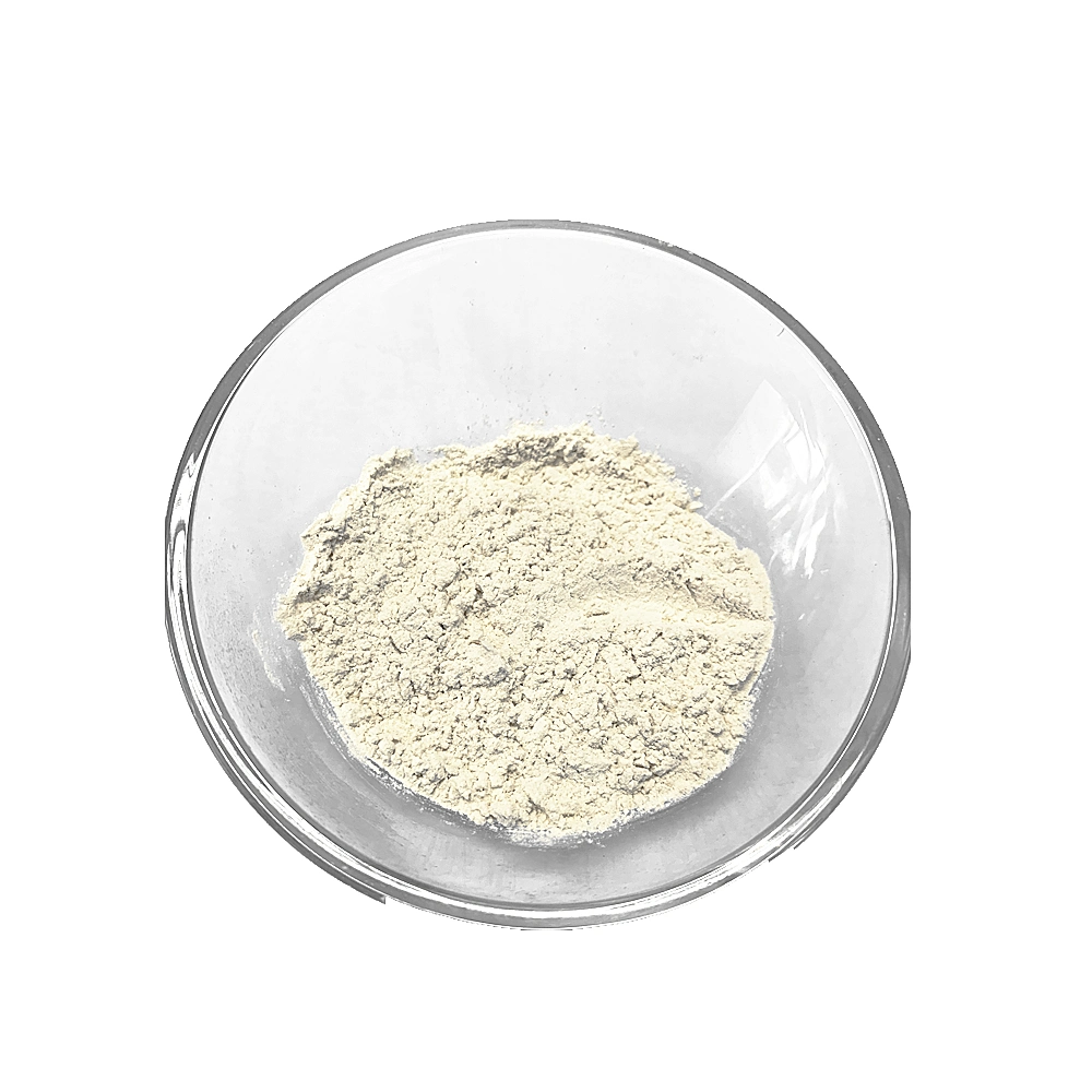 New Crop Air Dried White Garlic Powder