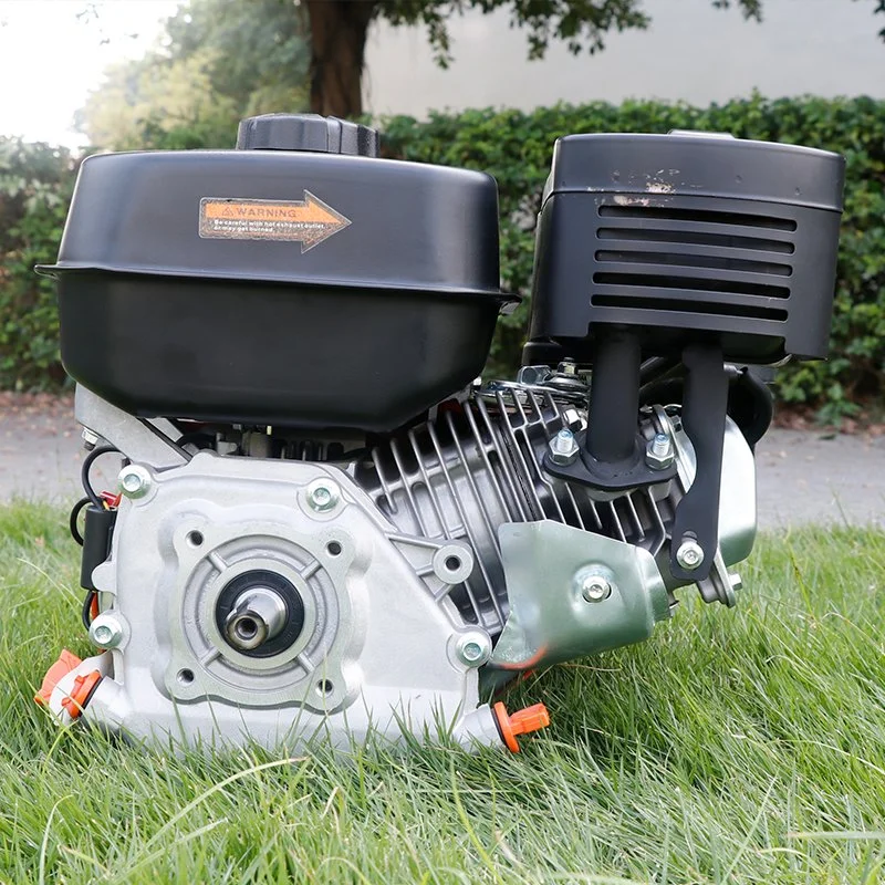 Одноцилиндровый двигатель BS220c Aerobs Auto Запасные части Запасные части Другие двигатели для мотоциклов