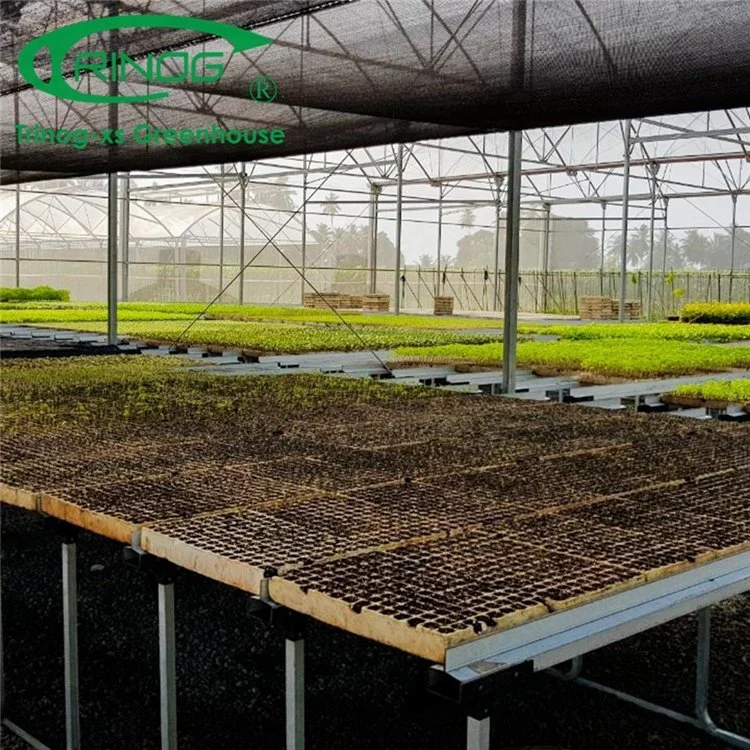 New Design Inner Shading System Cooling Multi-span Film Greenhouse for Agriculture From China