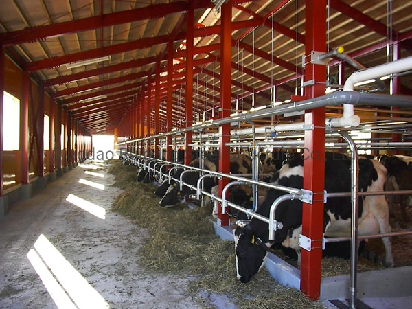 Günstige Kuh Farm Gebäude Cowsheds Aus Fabrik