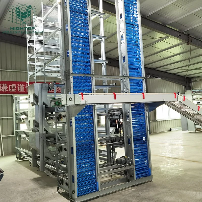New Design Automatic System Egg Chicken Battery H Type Hot DIP Galvanized Layer Chicken Cages