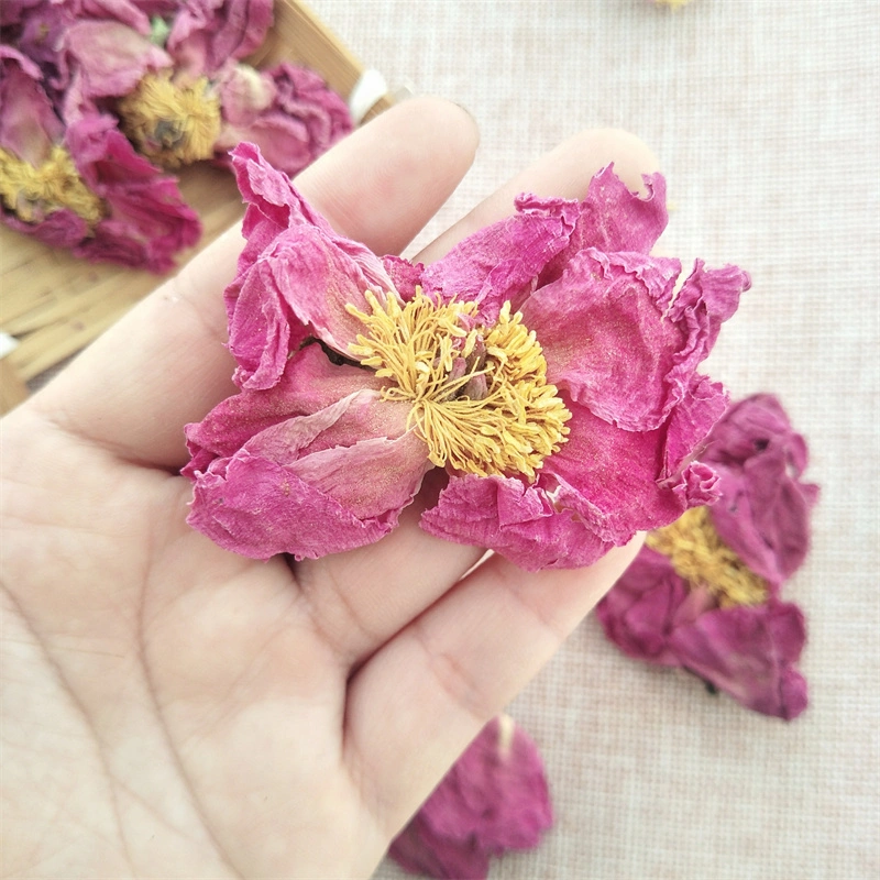 Mu Dan chinois de vente en gros Hua Hot séchées fleurs de pivoines organiques naturels