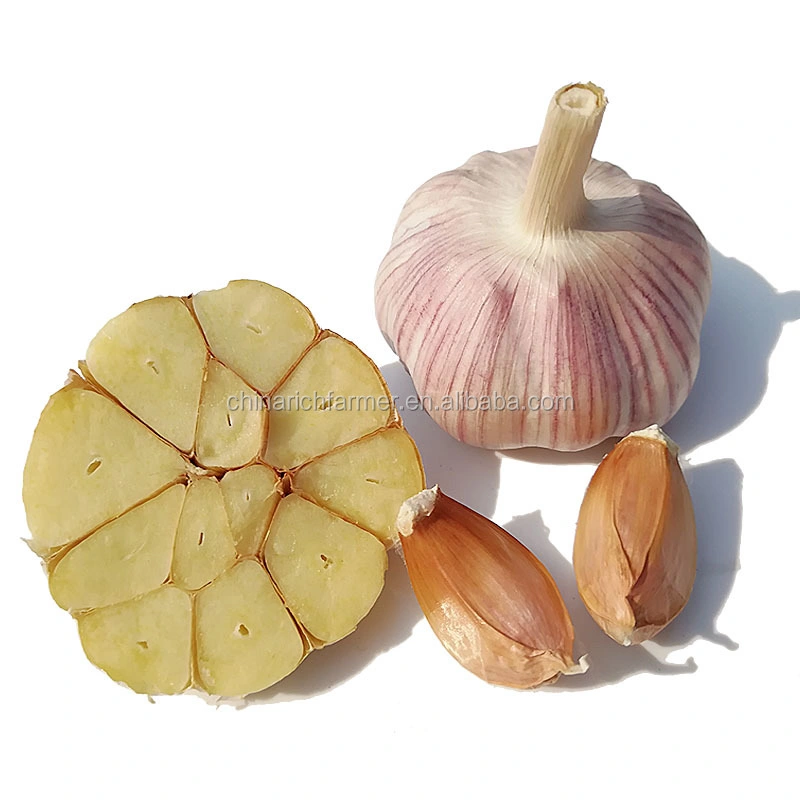 Cheapest China Fresh 3p Pure Normal White Dried Garlic