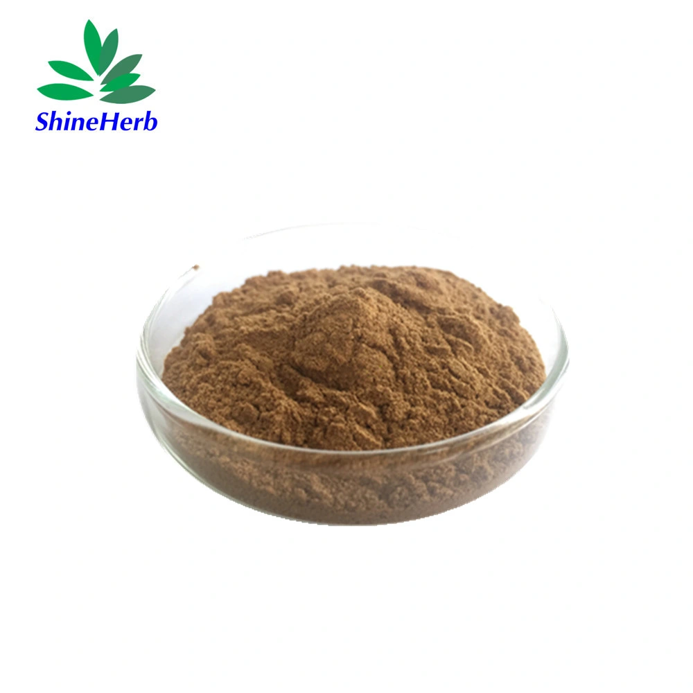 أفضل سعر Ginkgo biloba Leaf Extract Flavonoids 24 ٪ Ginkgolide 6 ٪ مقتطف ورقة جينكجو