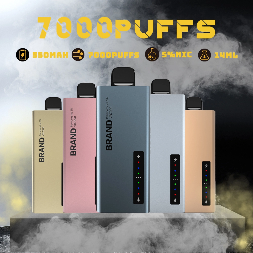 New Style Wholesale/Supplier Pod Pen Disposable/Chargeable Electronic Cigarette Vape Max Vape Battery