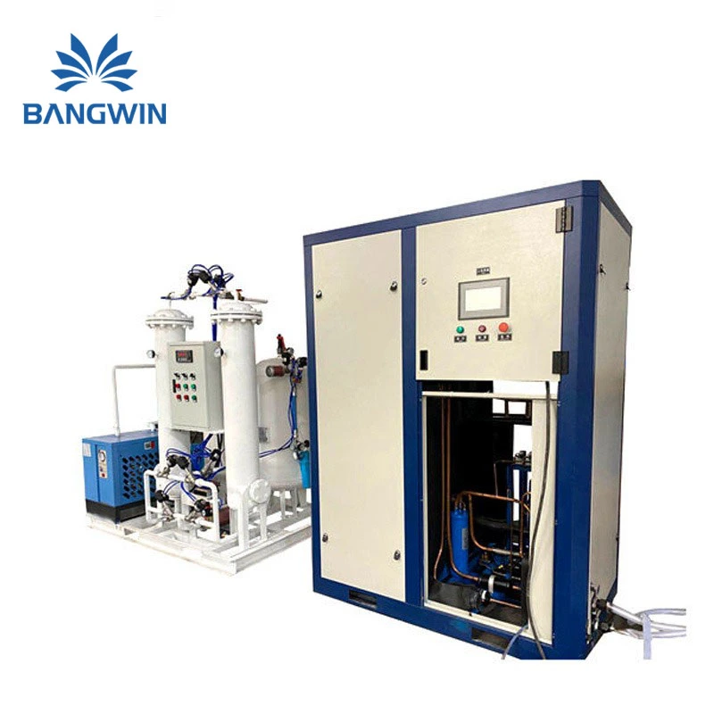 Bw Psa Nitrogen Generator Package System N2 Psa Unit