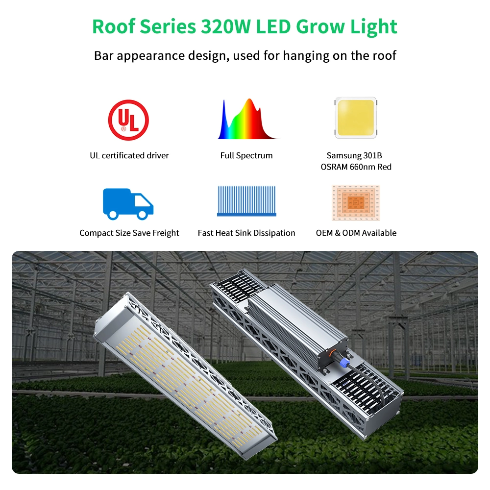 Kommerzielle Veg Blume Gewächshaus Full Spectrum LED Grow Lights für Innenpflanzen