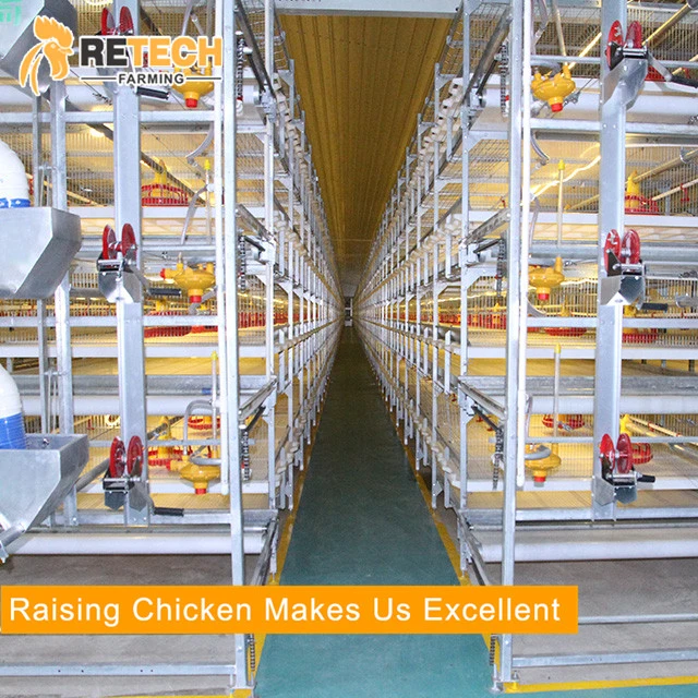 Full Set Automatic Poultry Farm Equipment Broiler chicken Breeding with Pan Feeder