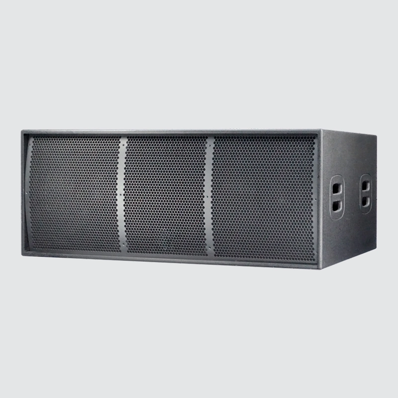 Good Appearance Dual 12 Inch Two Way Passive Line Array Speaker Loudspeaker Box