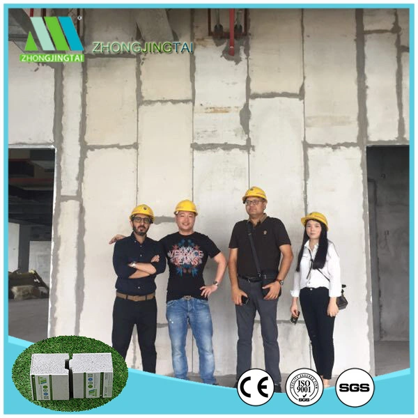 Insulated Forms and Exterior Wall Insulated Interior Wall Panel Green Building Material