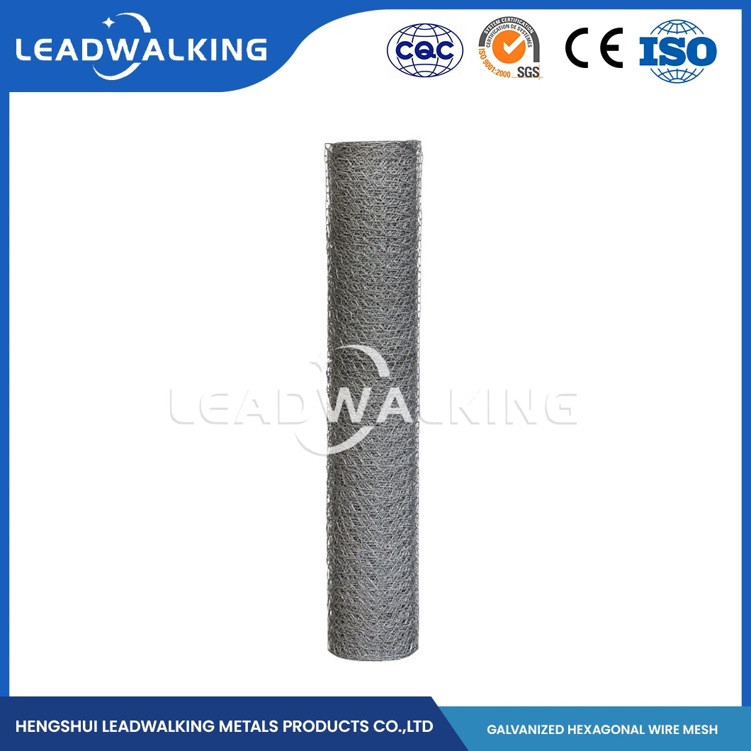 Leadwalking China Acero suave fábrica de malla tejido PVC alambre material Malla de 3 pulgadas Red hexagonales recubierta de plástico