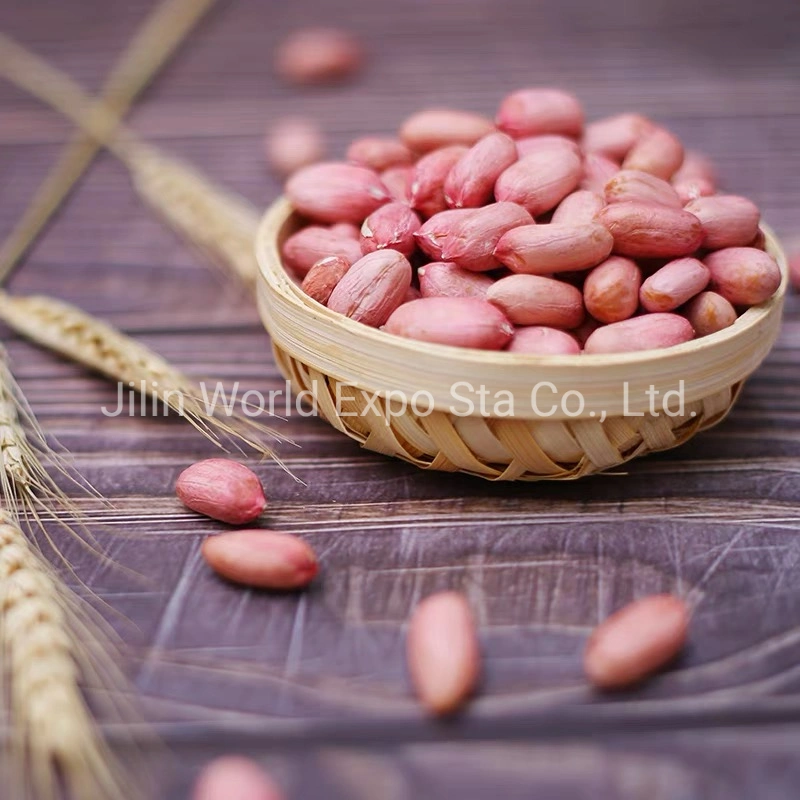 Graines de cacahuètes de forme allongée provenant de Chine Food
