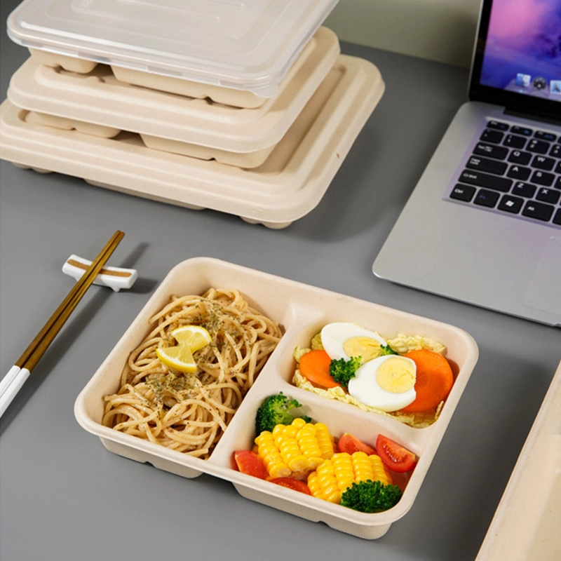 Eco-Friendly Disposable Takeaway Food Tray Biocane Plate Compostable Plates Fast Food Tray 3-Compartment Trays Biodegradable Lunch Food Tray for School, Picnic